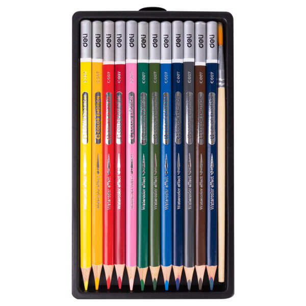 Lapices Color Emotion Acuarelable x  12
